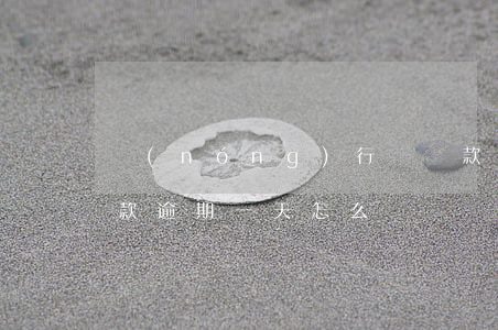 農(nóng)行還貸款逾期一天(還銀行貸款逾期一天怎么辦)