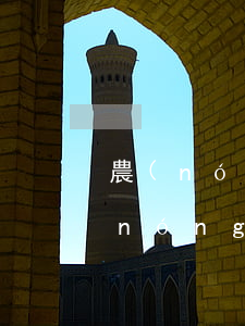 農(nóng)行還貸款逾期怎么查詢(農(nóng)行還貸款逾期怎么查詢)