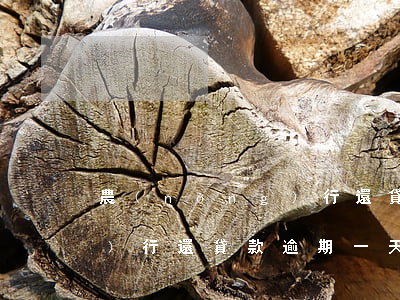 農(nóng)行還貸款逾期(農(nóng)行還貸款逾期一天后果是什么,怎么補救)