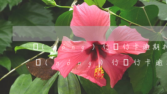 農(nóng)行銀行卡逾期扣款什么原因(農(nóng)行銀行卡逾期扣款什么原因)