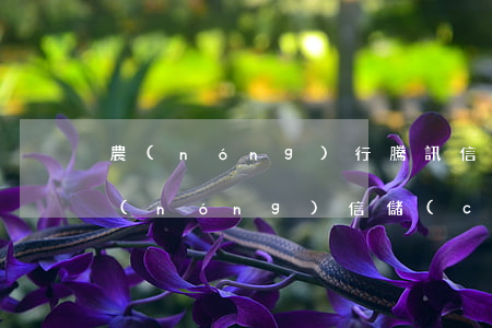 農(nóng)行騰訊信用卡可以透支嗎(農(nóng)信儲(chǔ)蓄卡能透支嗎)