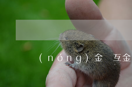 農(nóng)金寶互金逾期怎么解釋