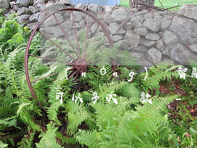 農(nóng)銀智融網(wǎng)捷貸可以多次還款嗎-農(nóng)銀智融網(wǎng)捷貸可以多次還款嗎安全嗎