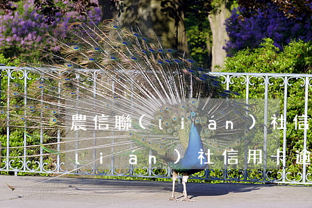 農信聯(lián)社信用卡逾期(農信聯(lián)社信用卡逾期)
