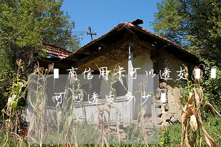 農商信用卡可以透支吶(農業(yè)信用卡可以透支多少錢)