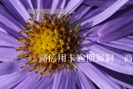農商信用卡逾期漏洞(農商行信用卡逾期)
