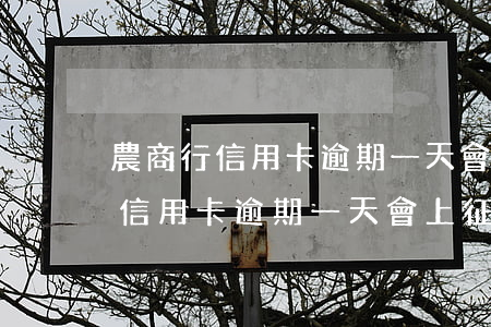 農商行信用卡逾期一天會上征信嗎-農商行信用卡逾期一天會上征信嗎怎么辦