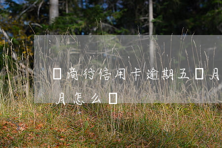 農商行信用卡逾期五個月(信用卡逾期了五個月怎么辦?)