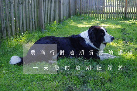 農商行對逾期貸款的處理(農商銀行貸款,逾期一天,您的逾期記錄將)