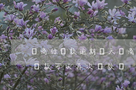 農商行貸款逾期幾天(農商銀行貸款逾期5天還款可以再次貸款嗎)