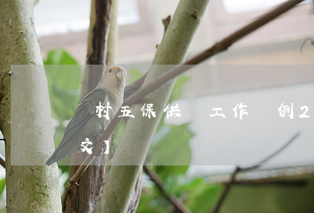 農村五保供養工作條例2023最新版【全文】