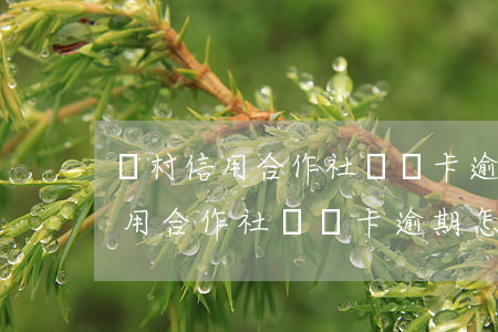 農村信用合作社貸記卡逾期怎么辦-農村信用合作社貸記卡逾期怎么辦理