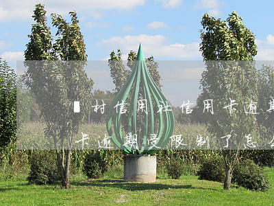 農村信用社信用卡逾期8萬(農村信用社信用卡逾期受限制了怎么辦)