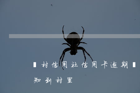 農村信用社信用卡逾期兩天（信用卡逾期會通知到村里）
