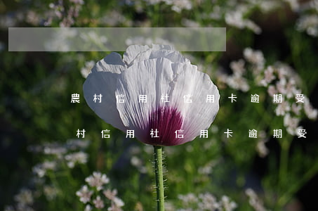 農村信用社信用卡逾期受限制了怎么辦-農村信用社信用卡逾期受限制了怎么辦