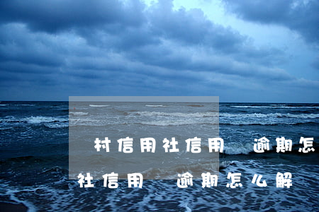 農村信用社信用貸逾期怎么解決-農村信用社信用貸逾期怎么解決的