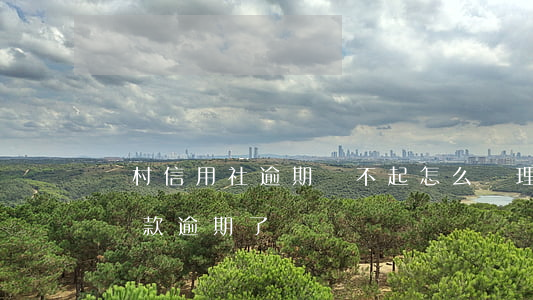 農村信用社逾期還不起怎么處理 農村信用社貸款逾期了