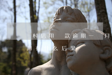 農村信用貸款逾期一個月(信用貸款逾期一個月有什么后果)