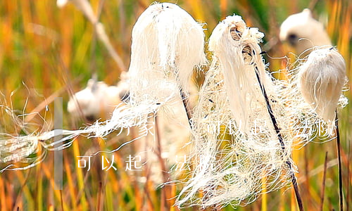 農村分家糾紛可以起訴法院嗎(農村分家糾紛可以起訴法院嗎)
