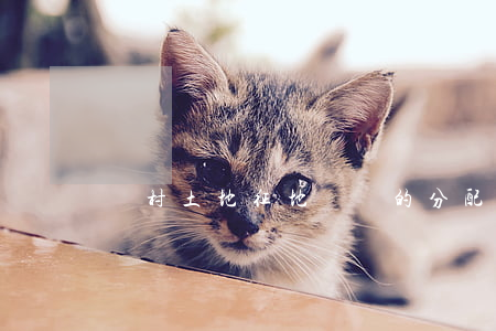 農村土地征地補償的分配對象有哪些