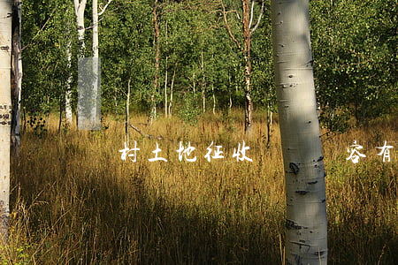 農村土地征收補償內容有哪些