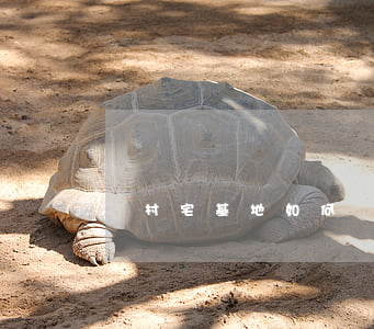 農村宅基地如何辦理,農村宅基地如何辦理不動產權證 農村宅基地如何辦理,農村宅基地如何辦理不動產權證