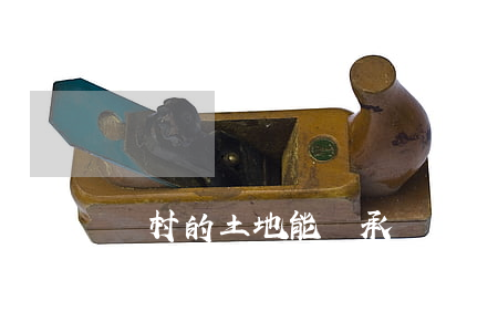 農村的土地能繼承嗎(農村土地能不能繼承)