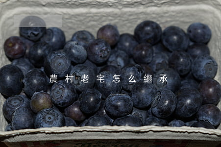 農村老宅怎么繼承