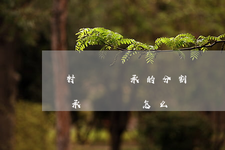 農村財產繼承的分割協議書怎么寫(分割財產繼承訴訟書怎么寫)