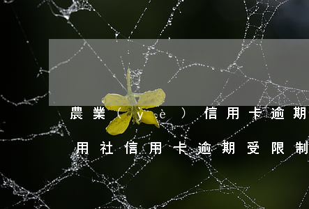 農業(yè)信用卡逾期33個月了(農村信用社信用卡逾期受限制了怎么辦)