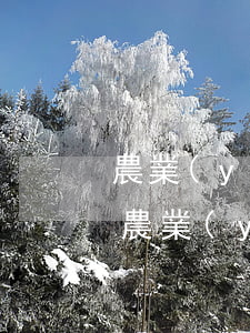 農業(yè)信用卡逾期多久會電話催收-農業(yè)信用卡逾期多久會電話催收呢