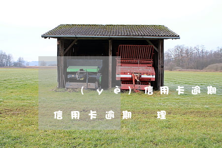 農業(yè)信用卡逾期處理(農業(yè)信用卡逾期處理)