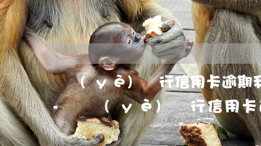 農業(yè)銀行信用卡逾期利息能否減免-農業(yè)銀行信用卡逾期利息能否減免呢