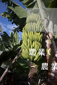 農業(yè)銀行信用卡逾期協商還款技巧-農業(yè)銀行信用卡逾期協商還款技巧和方法