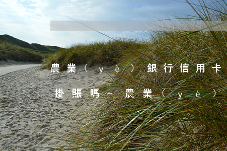 農業(yè)銀行信用卡逾期可以申請停息掛賬嗎-農業(yè)銀行信用卡逾期可以申請停息掛賬嗎