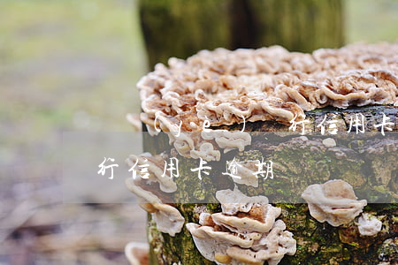 農業(yè)銀行信用卡逾期告知書(農商銀行信用卡逾期)