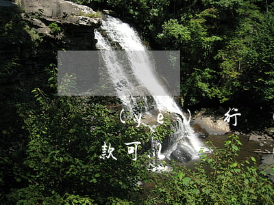農業(yè)銀行網(wǎng)捷貸提前還款可以嗎-農業(yè)銀行網(wǎng)捷貸提前還款可以嗎現(xiàn)在