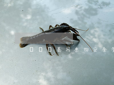 農業轉基因生物安全管理條例