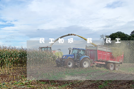 農民工如何討薪(農民工討薪怎么做)