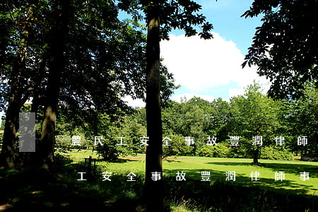 農民工安全事故豐潤律師事務所哪個好(農民工安全事故豐潤律師事務所哪個好)