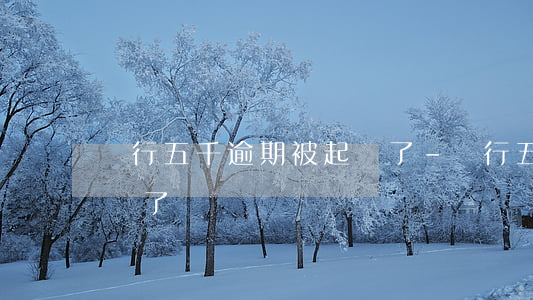 農行五千逾期被起訴了-農行五千逾期被起訴了