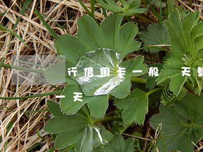 農行信用卡一般幾天算逾期(農行信用卡 逾期一天)
