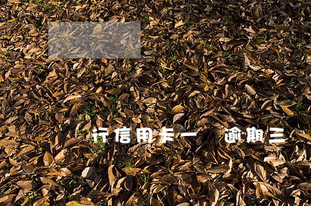 農行信用卡一萬逾期三個月