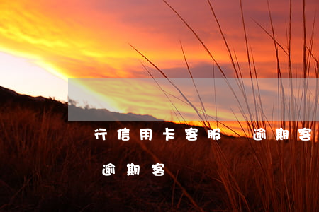 農行信用卡客服說逾期客戶(農行信用卡客服說逾期客戶)