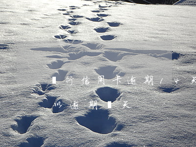農行信用卡逾期14天還款(農商行信用卡可以逾期幾天)
