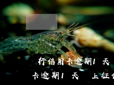 農行信用卡逾期1天會上征信嗎-農行信用卡逾期1天會上征信嗎怎么辦