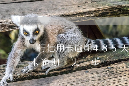 農行信用卡逾期485天(農業(yè)信用卡逾期幾天沒事)