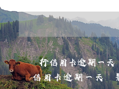 農行信用卡逾期一天會影響信用問題-農行信用卡逾期一天會影響信用問題嗎?