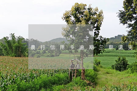 農行信用卡逾期三期還完