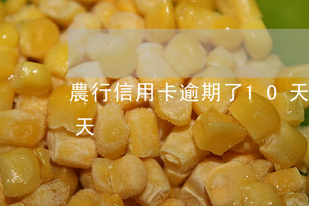農行信用卡逾期了10天(信用卡逾期10多天)